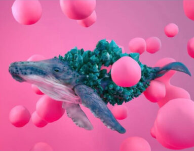 Перспективні напрями навчання в коледжі для українців